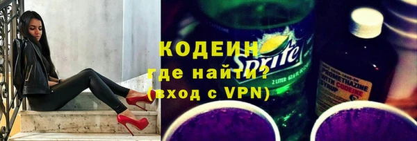 крисы Абаза