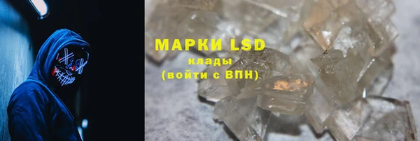 крисы Абаза