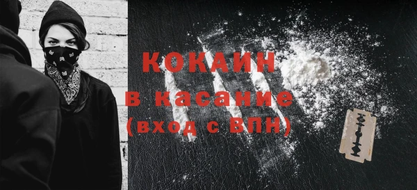 крисы Абаза
