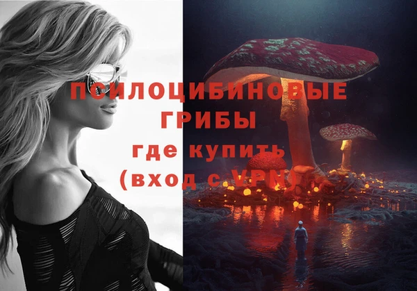 крисы Абаза