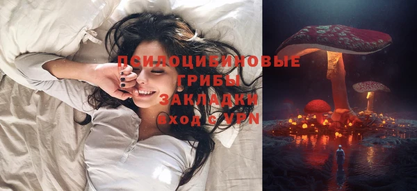 спиды Медногорск