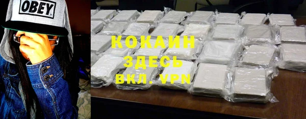 крисы Абаза