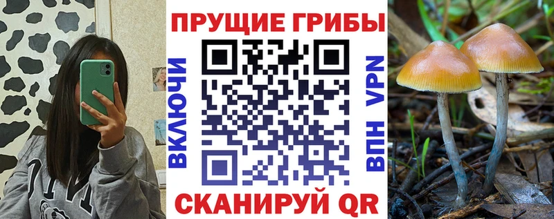 Псилоцибиновые грибы MAGIC MUSHROOMS  Краснодар 
